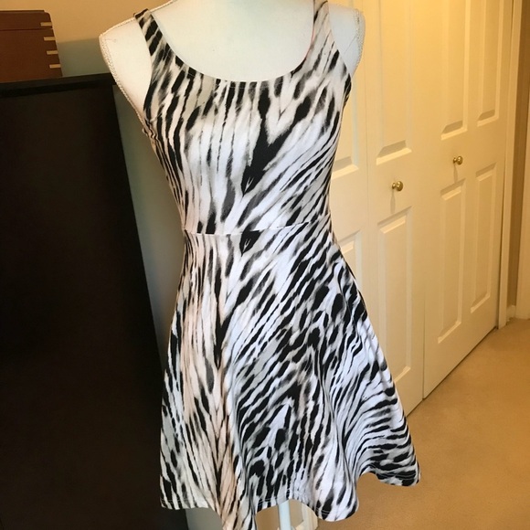 Express Sleeveless Skater Dress - Picture 5 of 11